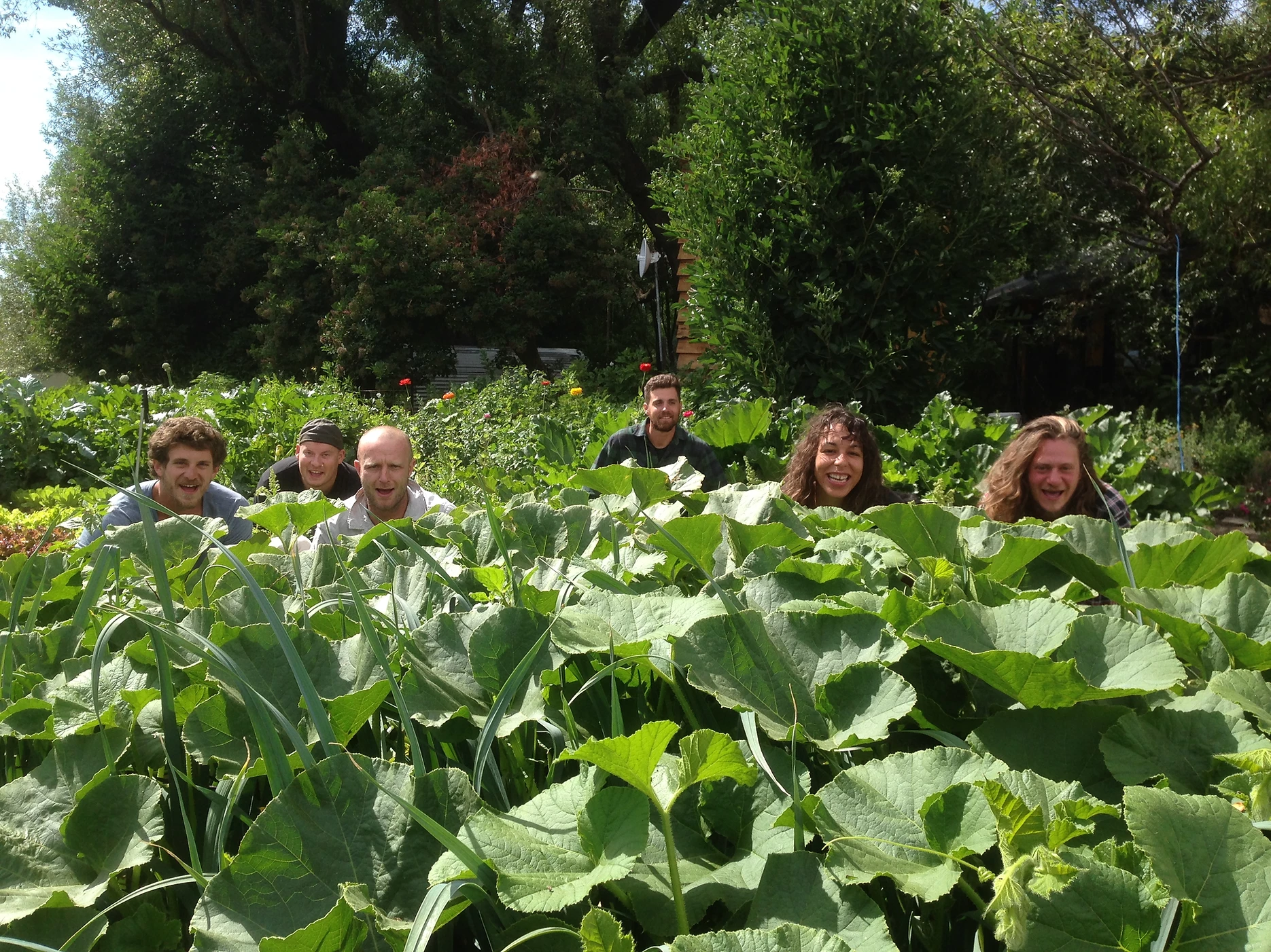 Team hiding behind vegetables