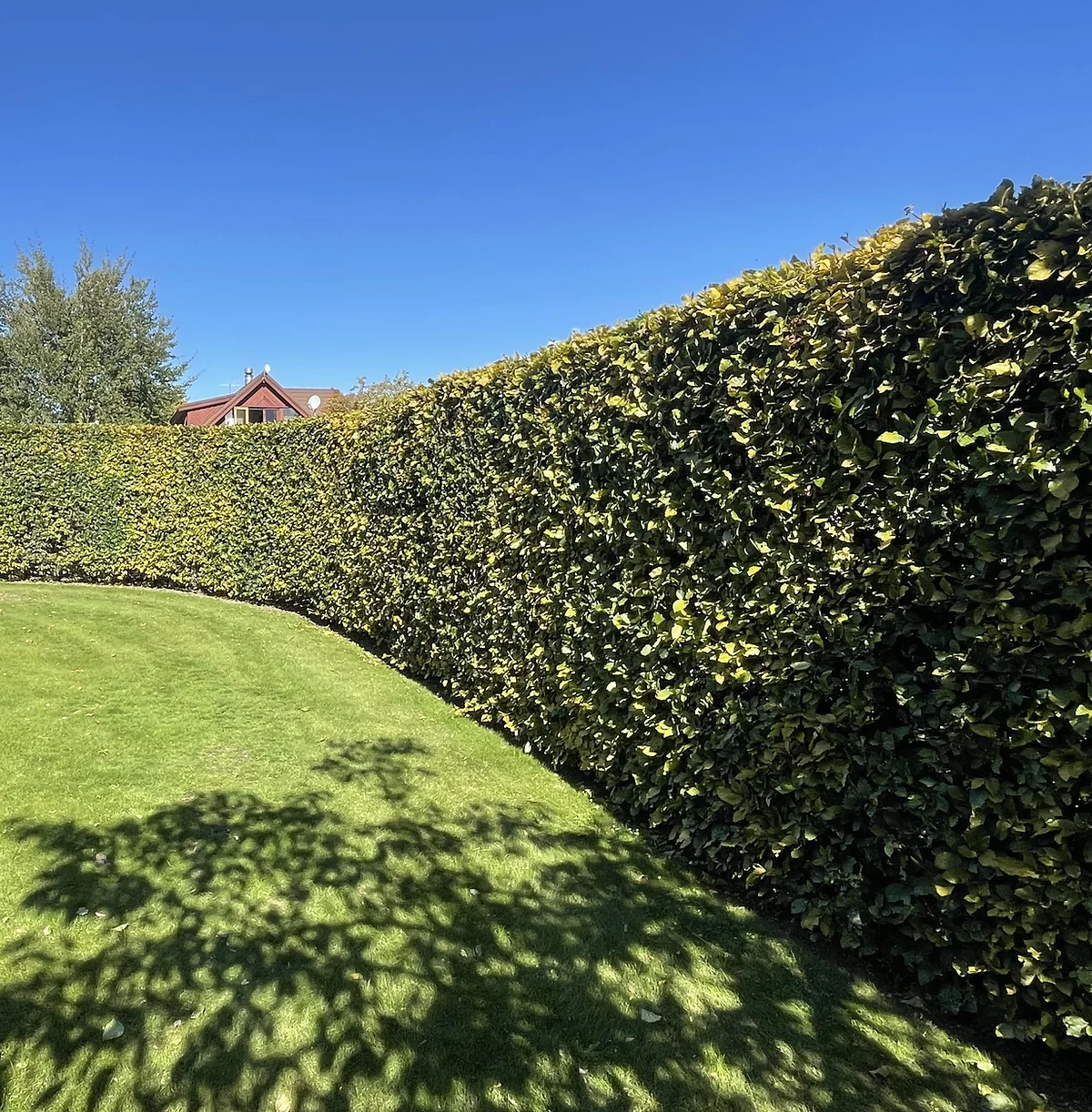 Fence 2
