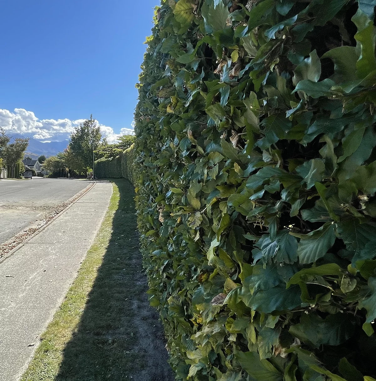 Fence